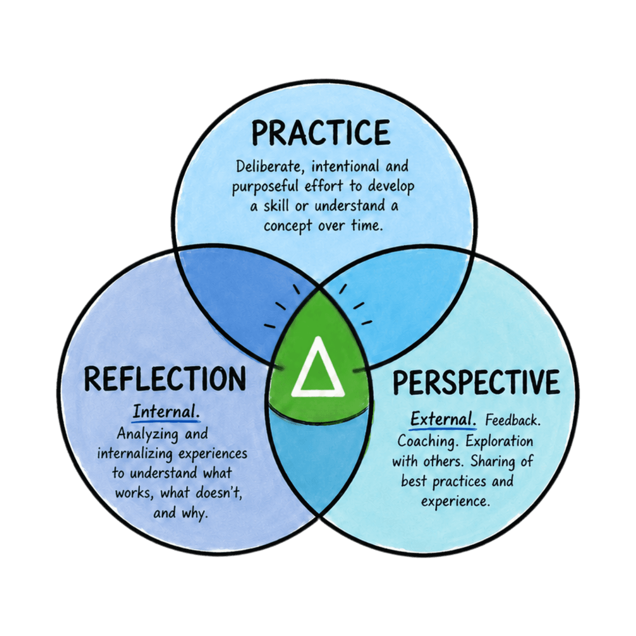 The Delta: three overlapping circles labeled Practice, Reflection and Perspective, with a triangle where all three meet